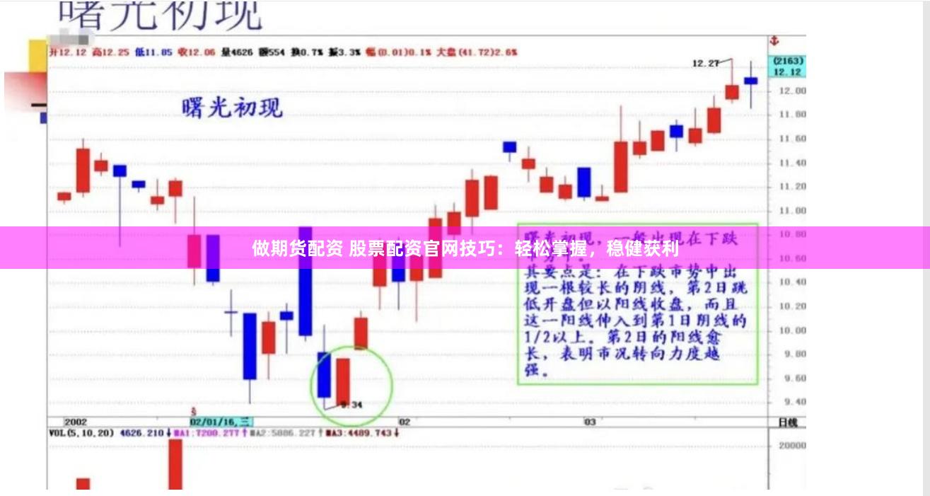 做期货配资 股票配资官网技巧：轻松掌握，稳健获利